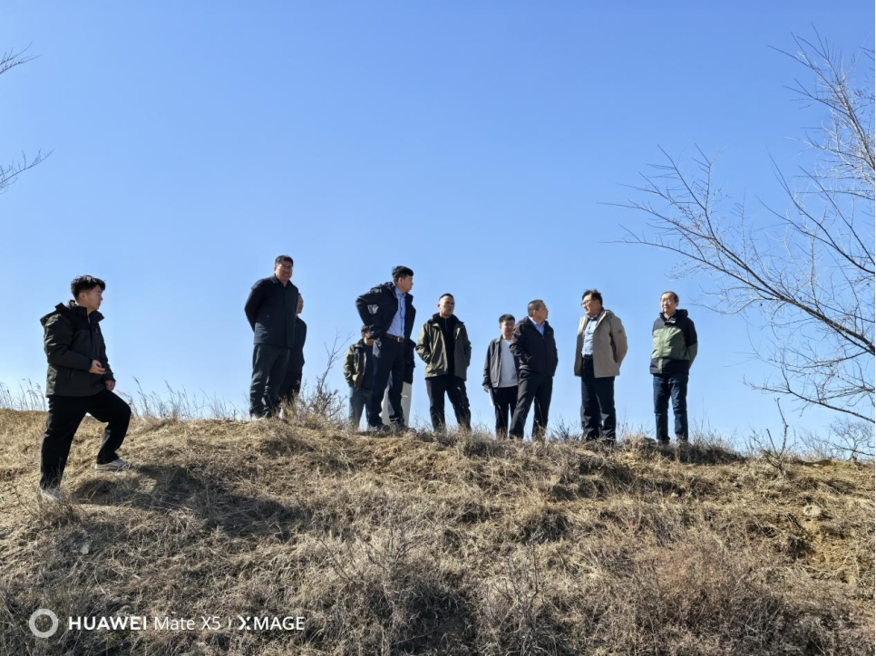 17440551.png image.png